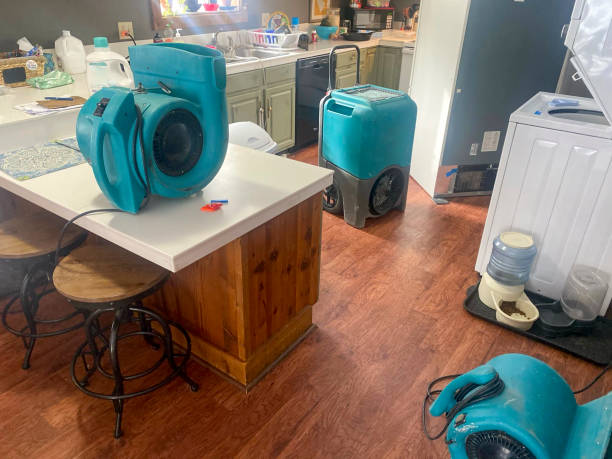 Best Water damage restoration mold remediation  in Green Forest, AR