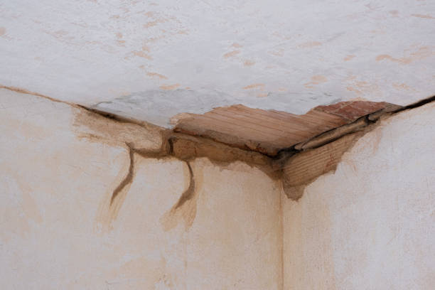Sewage cleanup and water damage restoration in Green Forest, AR