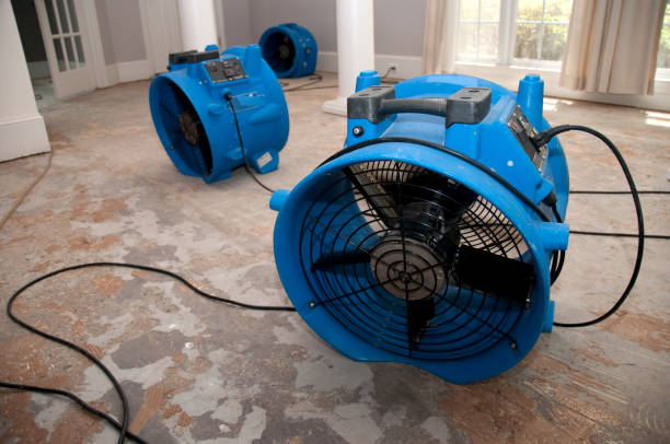  Green Forest, AR Water damage restoration Pros