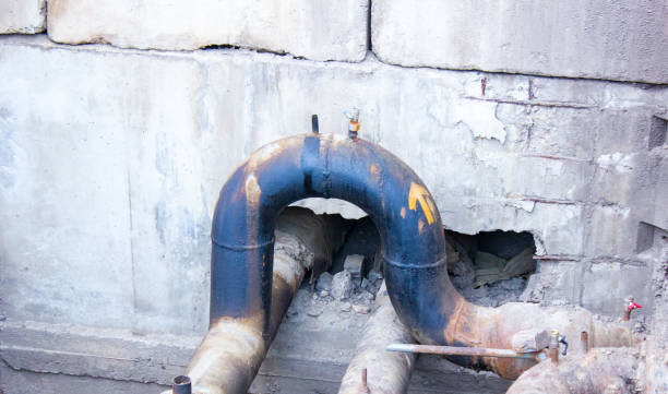 Best Commercial water damage restoration  in Green Forest, AR