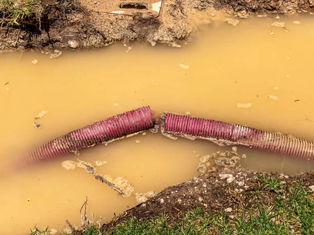 Trusted Green Forest, AR Water damage restoration Experts