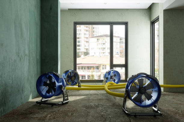 Best 24-hour water damage restoration  in Green Forest, AR